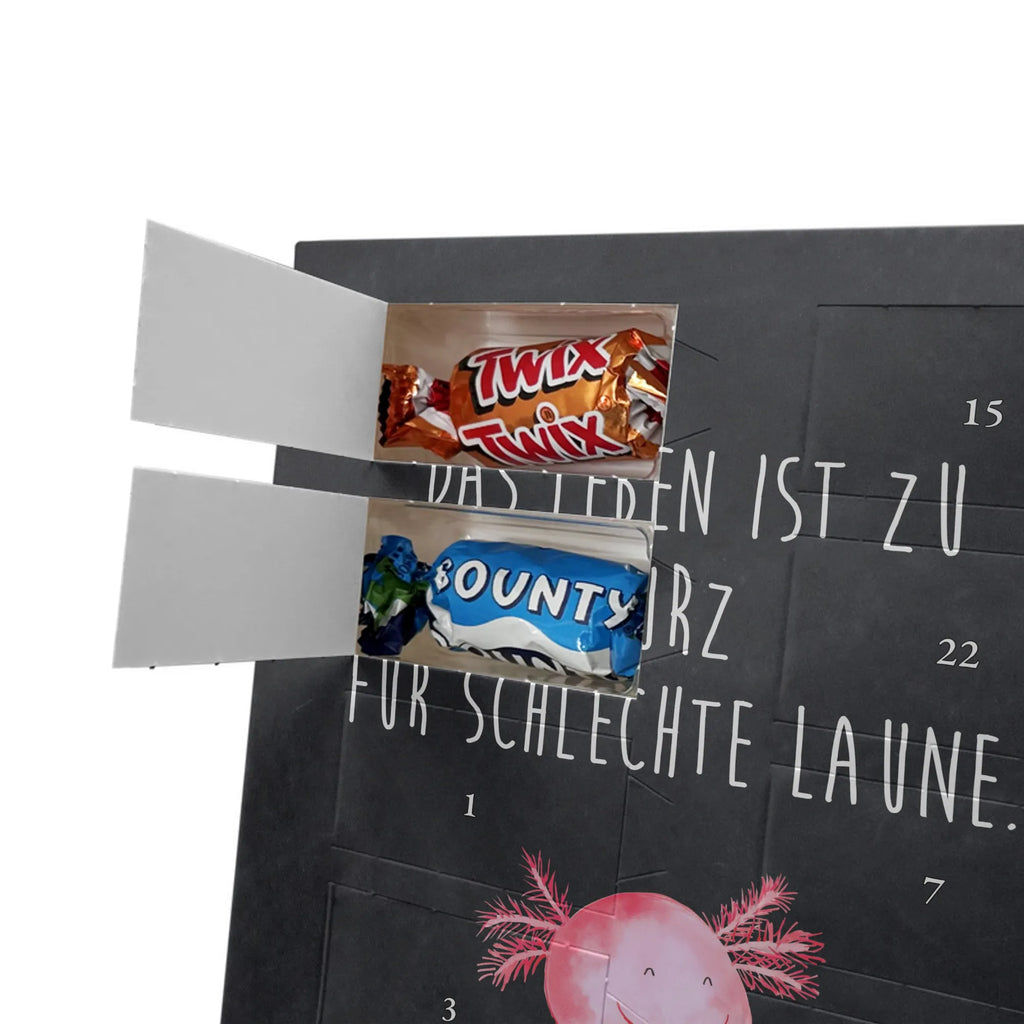  axolotl Happy Axolotl, Axelotl, marine animals, Mexican walking fish, salamander, motivation, good mood, tail, amphibian, axolotl, axolot