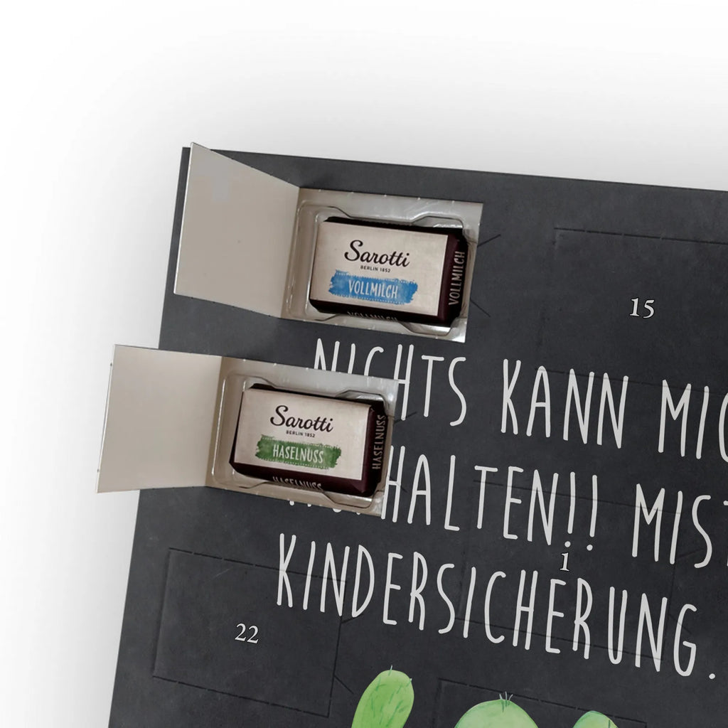  cactus happy cactus, cactuses, plants, cactus plant, small green cactus, mother, saying, child protection, motivation, office, colleague, cacti, family, education, funny, office life, new start, friend