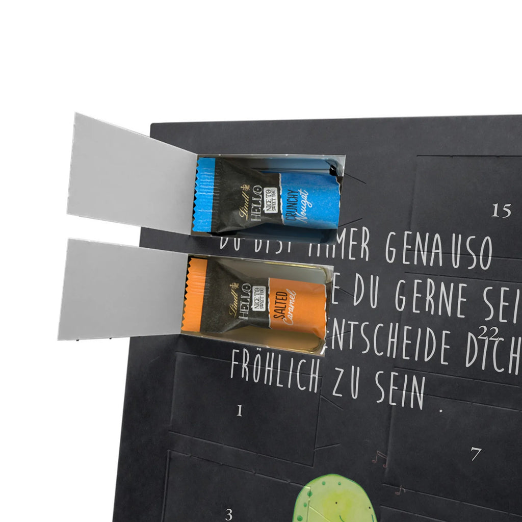  żółw gwizdać Skałka