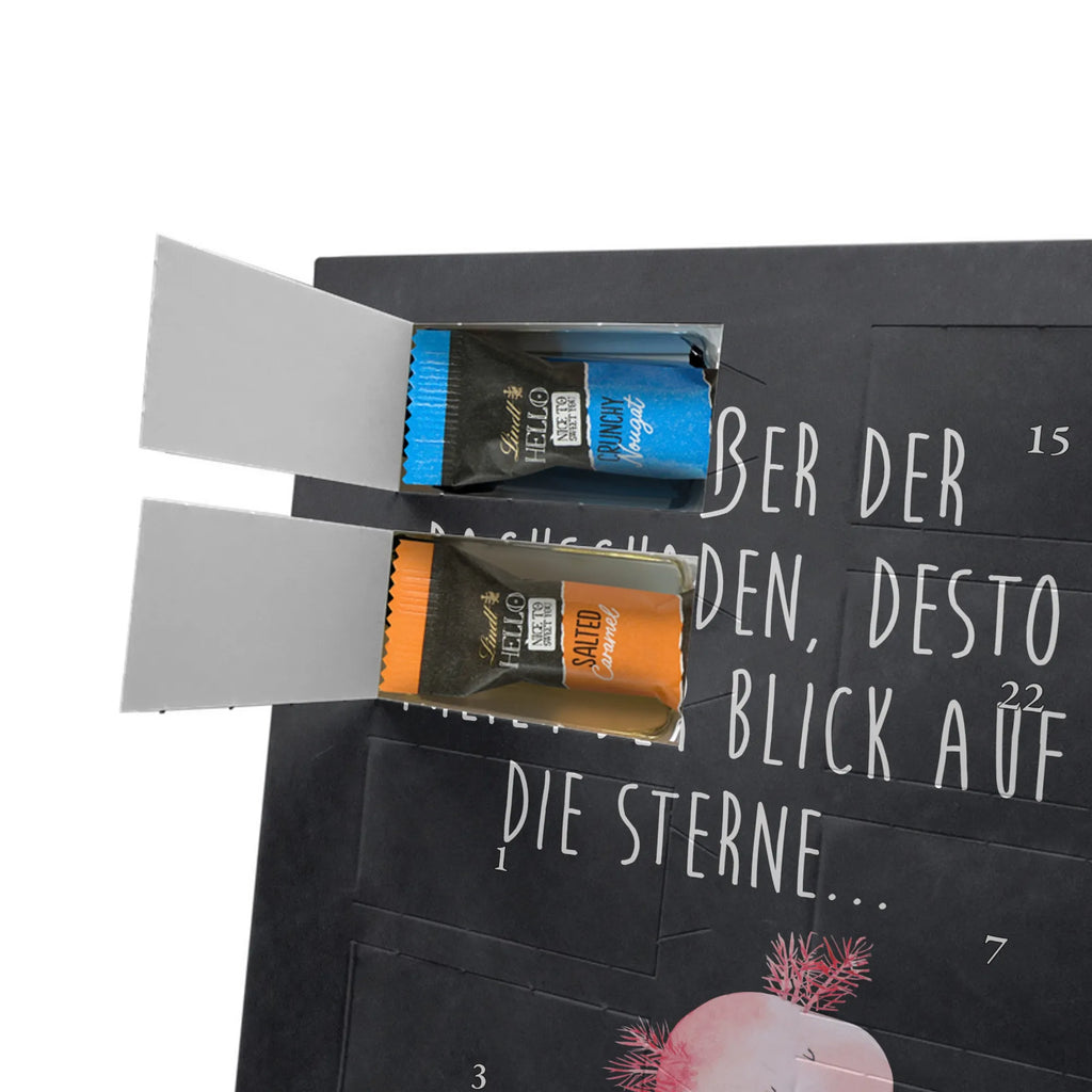  axolotl Dance Axolotl, Axelotl, marine animals, Mexican walking fish, salamander, roof damage, crazy, stars, amphibians, best friend, girlfriend, axolot, tailfish