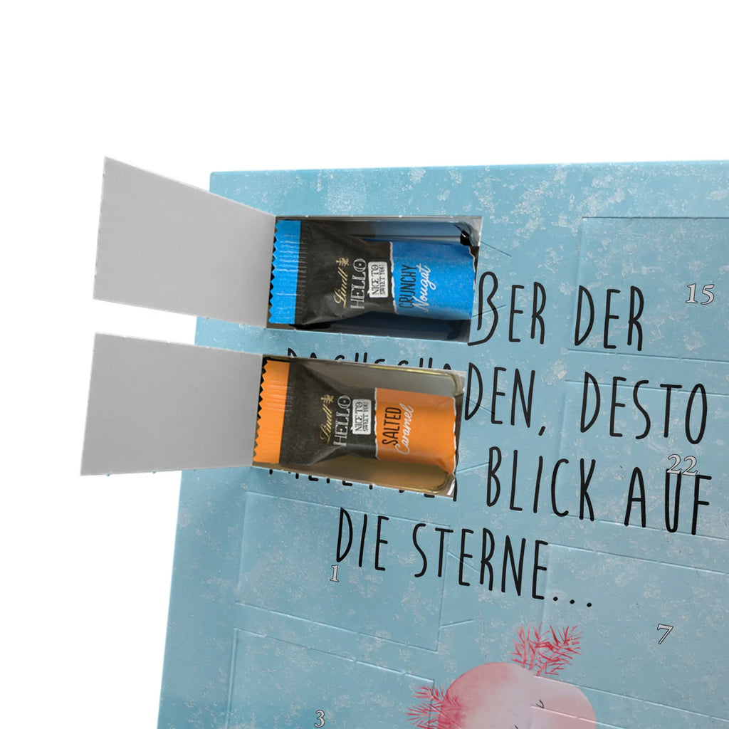  axolotl Dance Axolotl, Axelotl, marine animals, Mexican walking fish, salamander, roof damage, crazy, stars, amphibians, best friend, girlfriend, axolot, tailfish