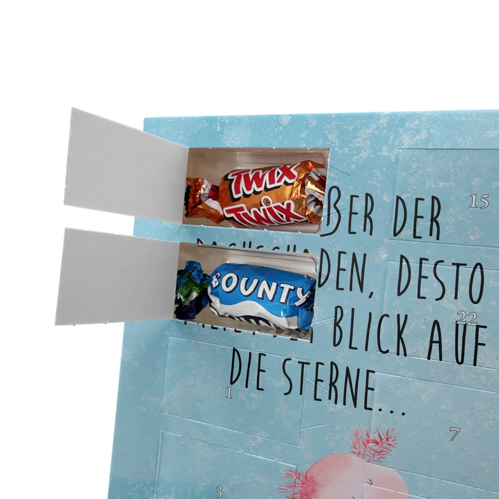  axolotl Dance Axolotl, Axelotl, marine animals, Mexican walking fish, salamander, roof damage, crazy, stars, amphibians, best friend, girlfriend, axolot, tailfish