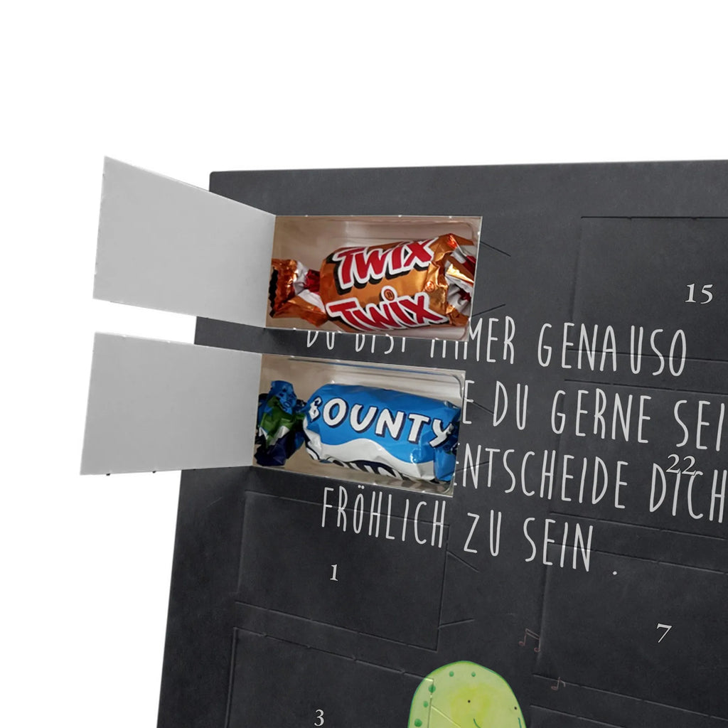  żółw gwizdać Skałka