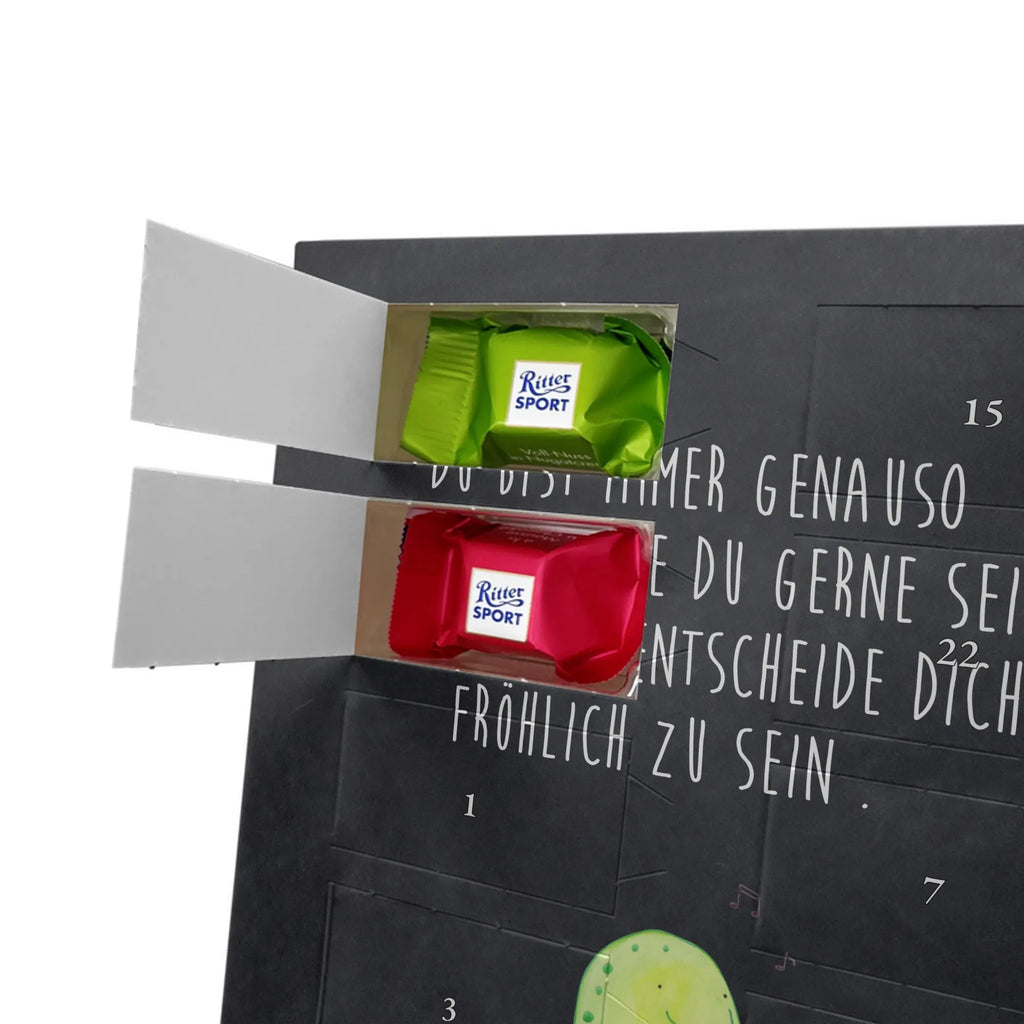  żółw gwizdać Skałka