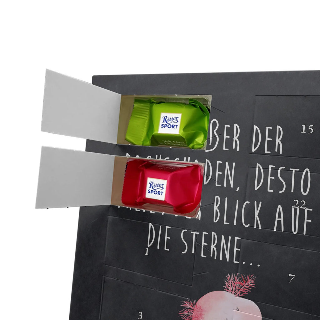  axolotl Dance Axolotl, Axelotl, marine animals, Mexican walking fish, salamander, roof damage, crazy, stars, amphibians, best friend, girlfriend, axolot, tailfish