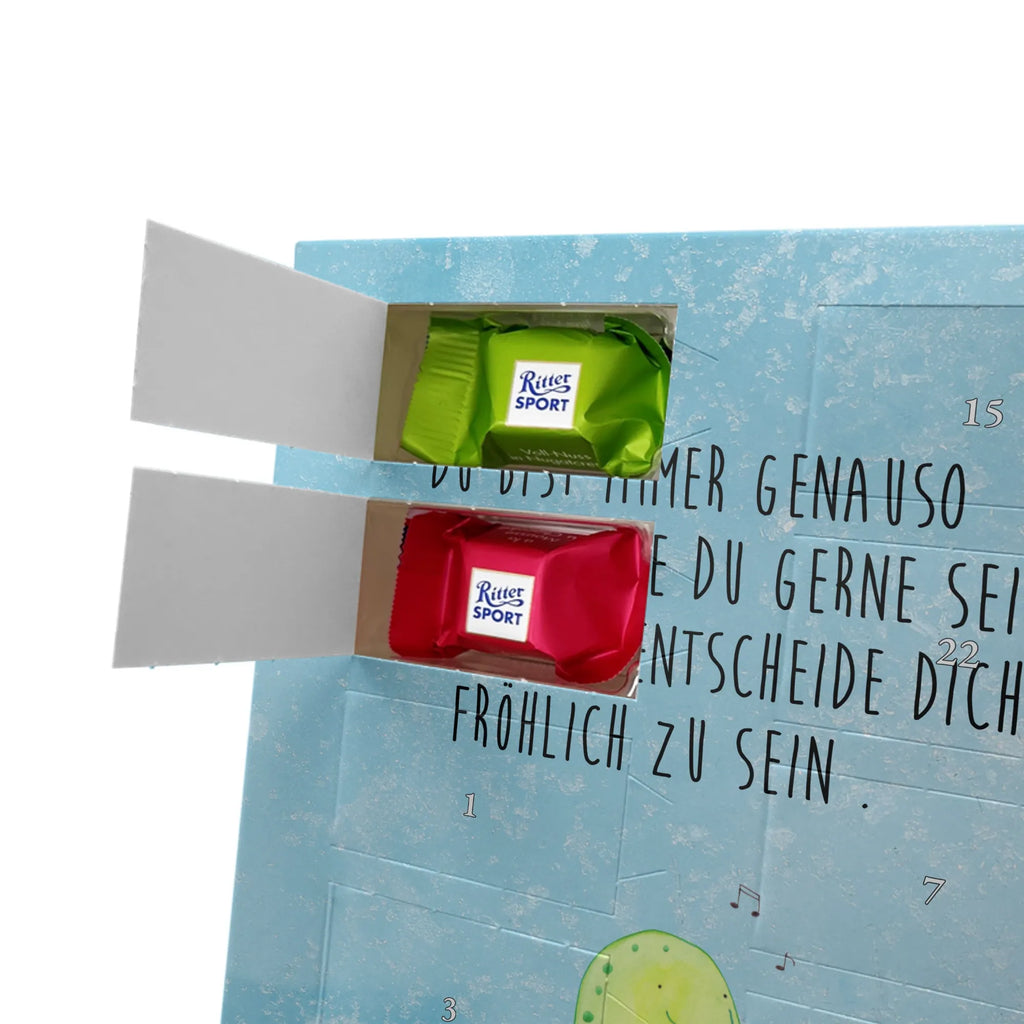  żółw gwizdać Skałka