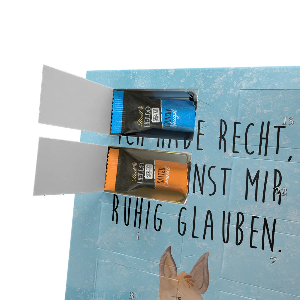  llama head Annoyed Llama, llama, alpaca, trendy animal, lamas, office life, being right, boss, girlfriend, partner, best friend, being annoyed, apprentice, office, lama