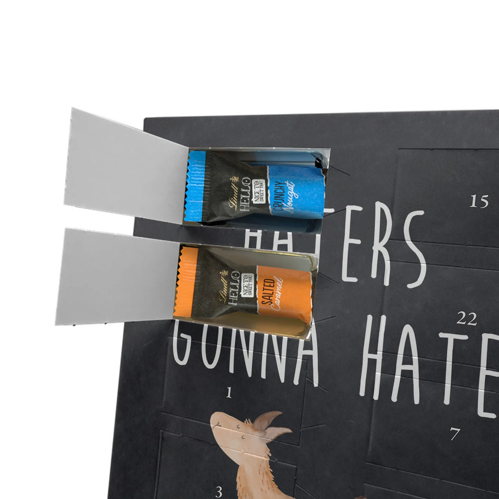  lama rainbow Llama, llama, alpaca, trendy animal, Outsider, School, Lamas, Freedom, Self-employed, Abi, Hobby, Rainbow, Haters, Cloud country, Haters gonna hate, Lama