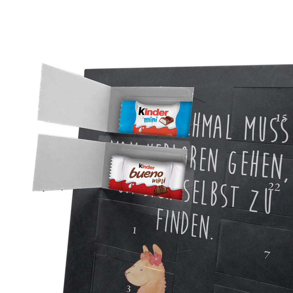  alpaca Proud alpaca, llama, pako, camel, Peru, animal, favourite animal