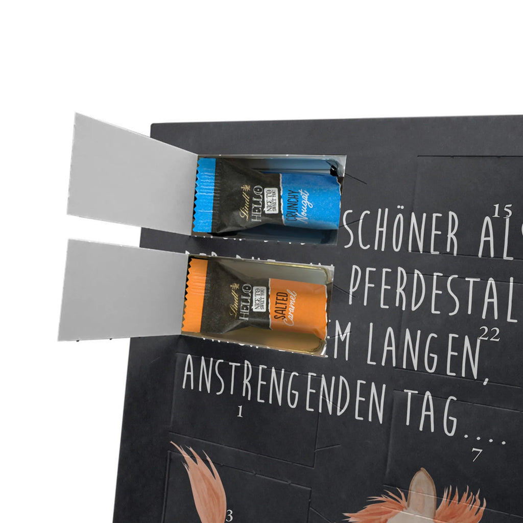  Horse Jump farm, farm animals, animals, horse, riding, horse stable, riding out, horses, pony, stable, horse owner