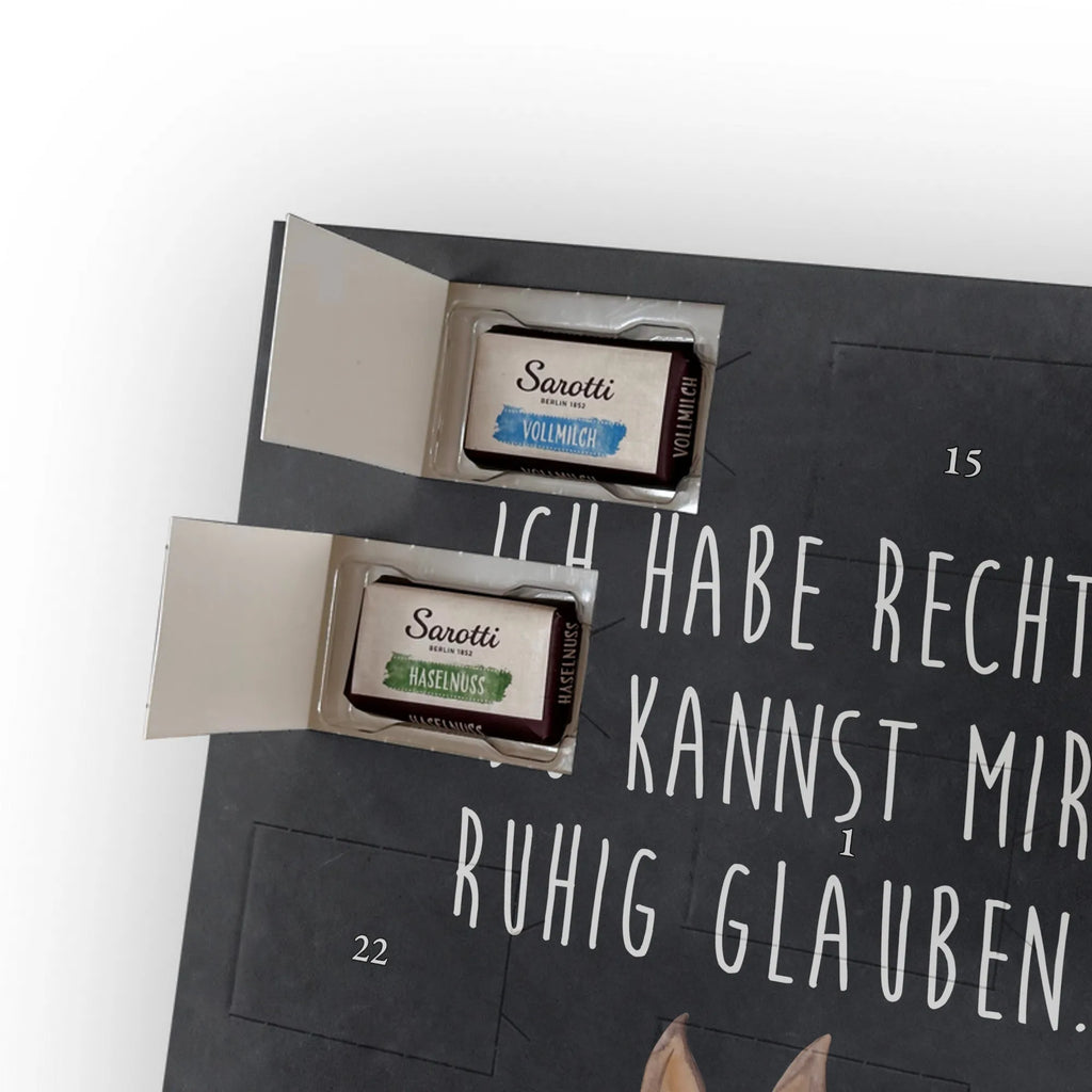  llama head Annoyed Llama, llama, alpaca, trendy animal, lamas, office life, being right, boss, girlfriend, partner, best friend, being annoyed, apprentice, office, lama