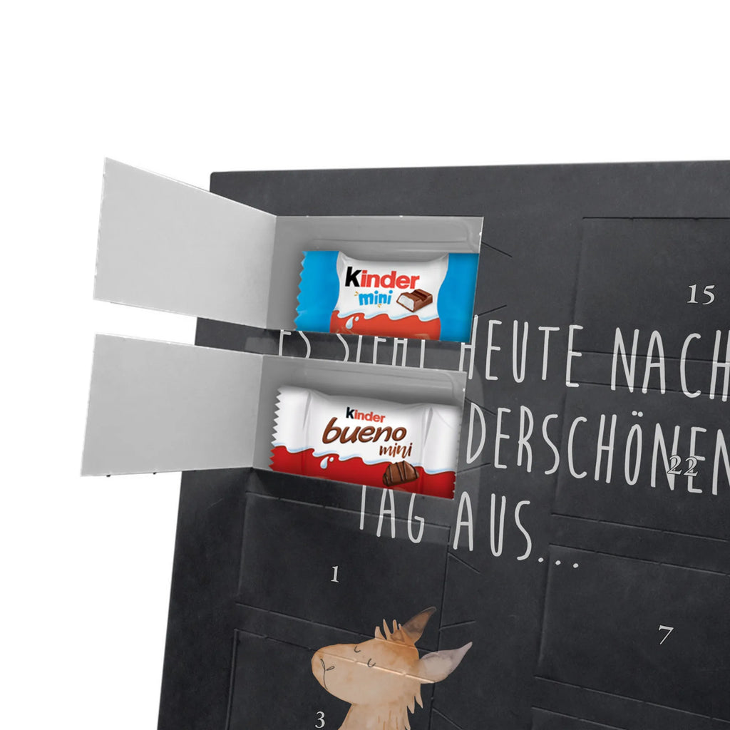  lama Jump Llama, llama, alpaca, trendy animal, new start, happy, happy day, Lama, heartache, girlfriend, luck, start, favourite day, graduation, good morning, exam, llamas