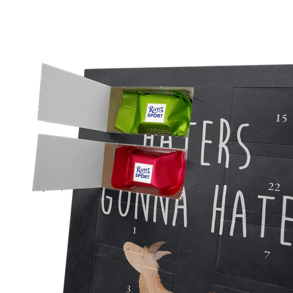  lama rainbow Llama, llama, alpaca, trendy animal, Outsider, School, Lamas, Freedom, Self-employed, Abi, Hobby, Rainbow, Haters, Cloud country, Haters gonna hate, Lama