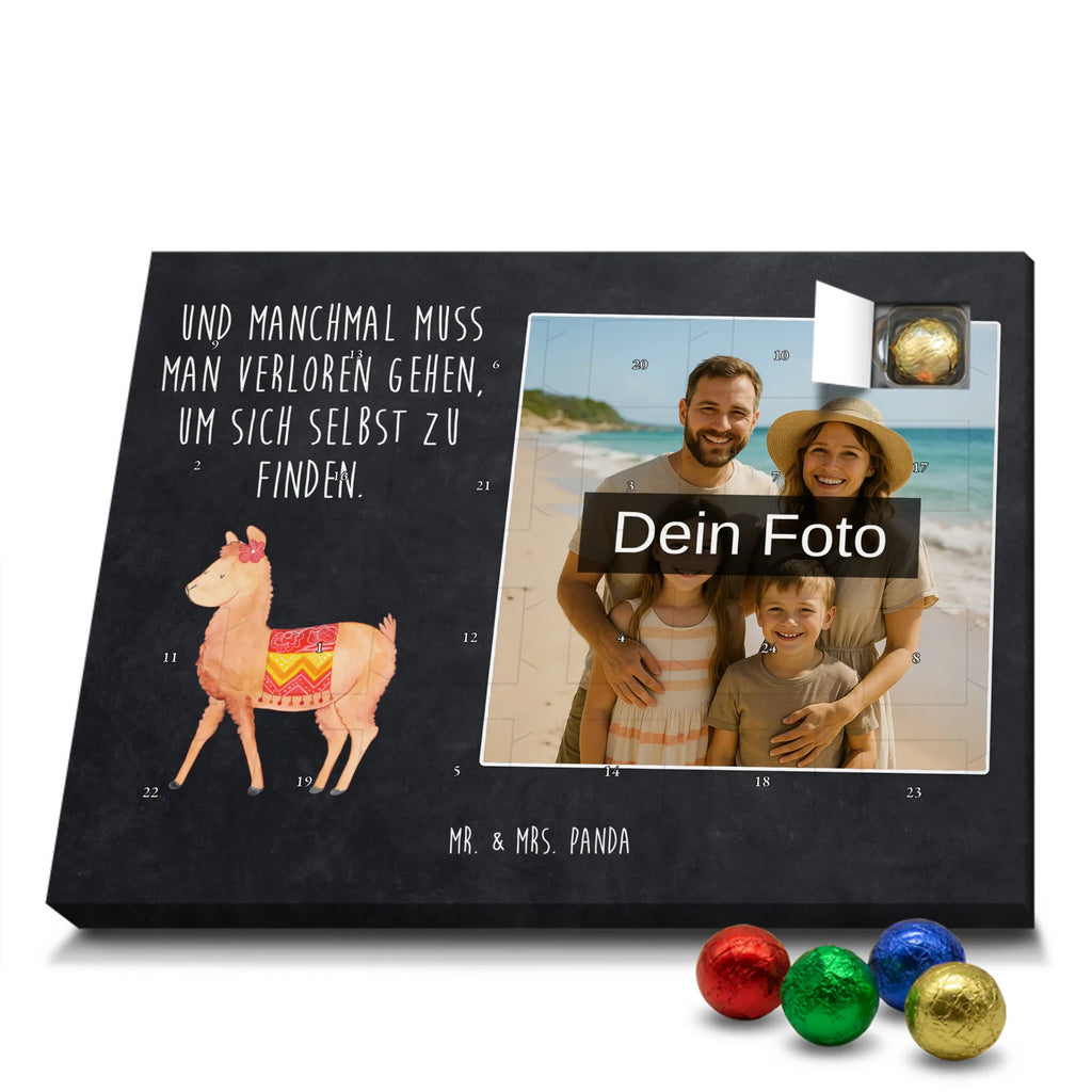  alpaca Proud alpaca, llama, pako, camel, Peru, animal, favourite animal