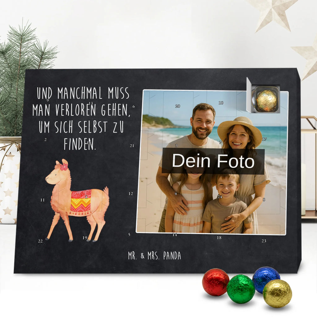  alpaca Proud alpaca, llama, pako, camel, Peru, animal, favourite animal