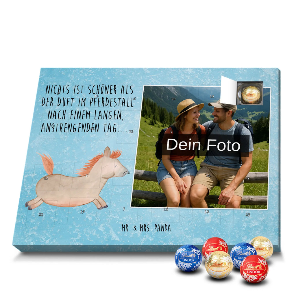  Horse Jump farm, farm animals, animals, horse, riding, horse stable, riding out, horses, pony, stable, horse owner