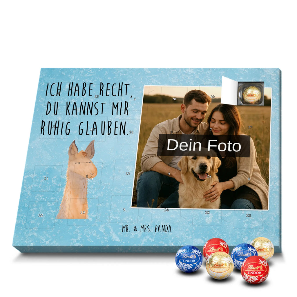  llama head Annoyed Llama, llama, alpaca, trendy animal, lamas, office life, being right, boss, girlfriend, partner, best friend, being annoyed, apprentice, office, lama