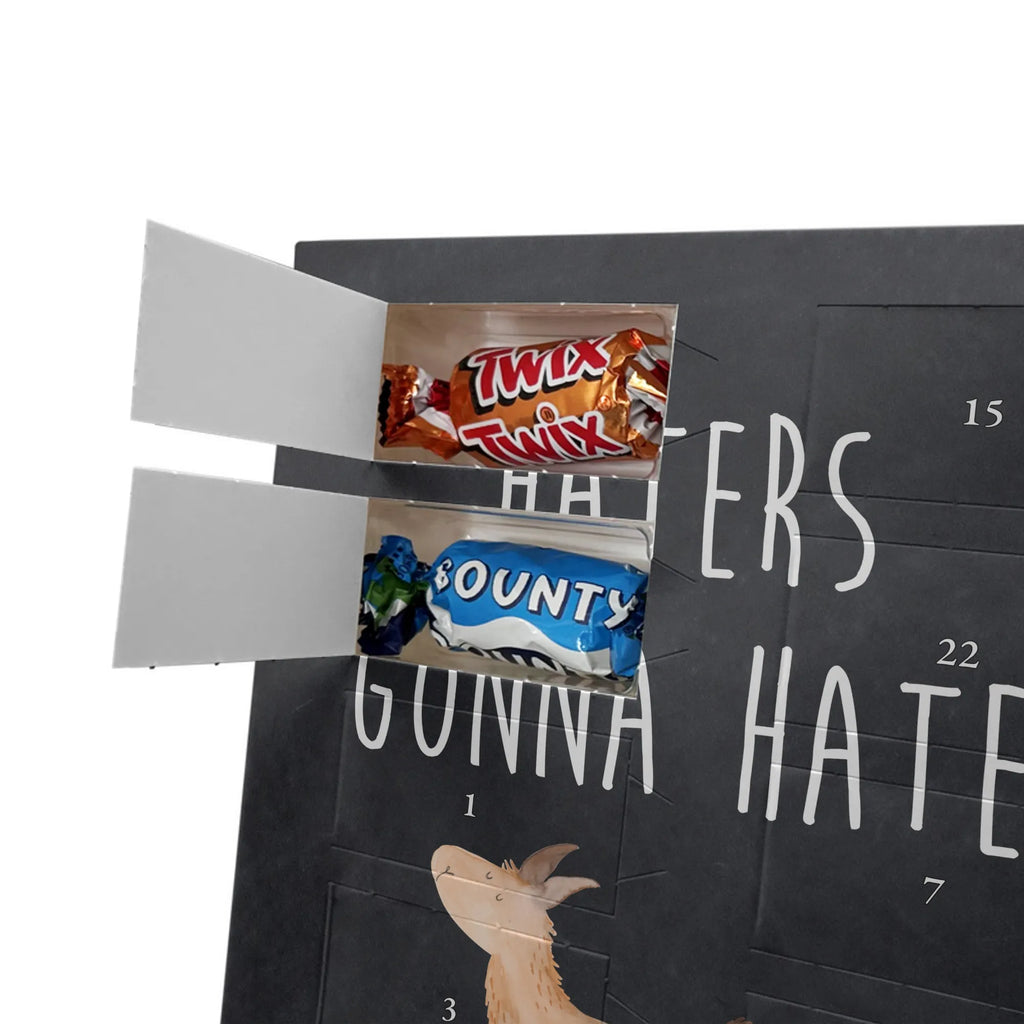  lama rainbow Llama, llama, alpaca, trendy animal, Outsider, School, Lamas, Freedom, Self-employed, Abi, Hobby, Rainbow, Haters, Cloud country, Haters gonna hate, Lama