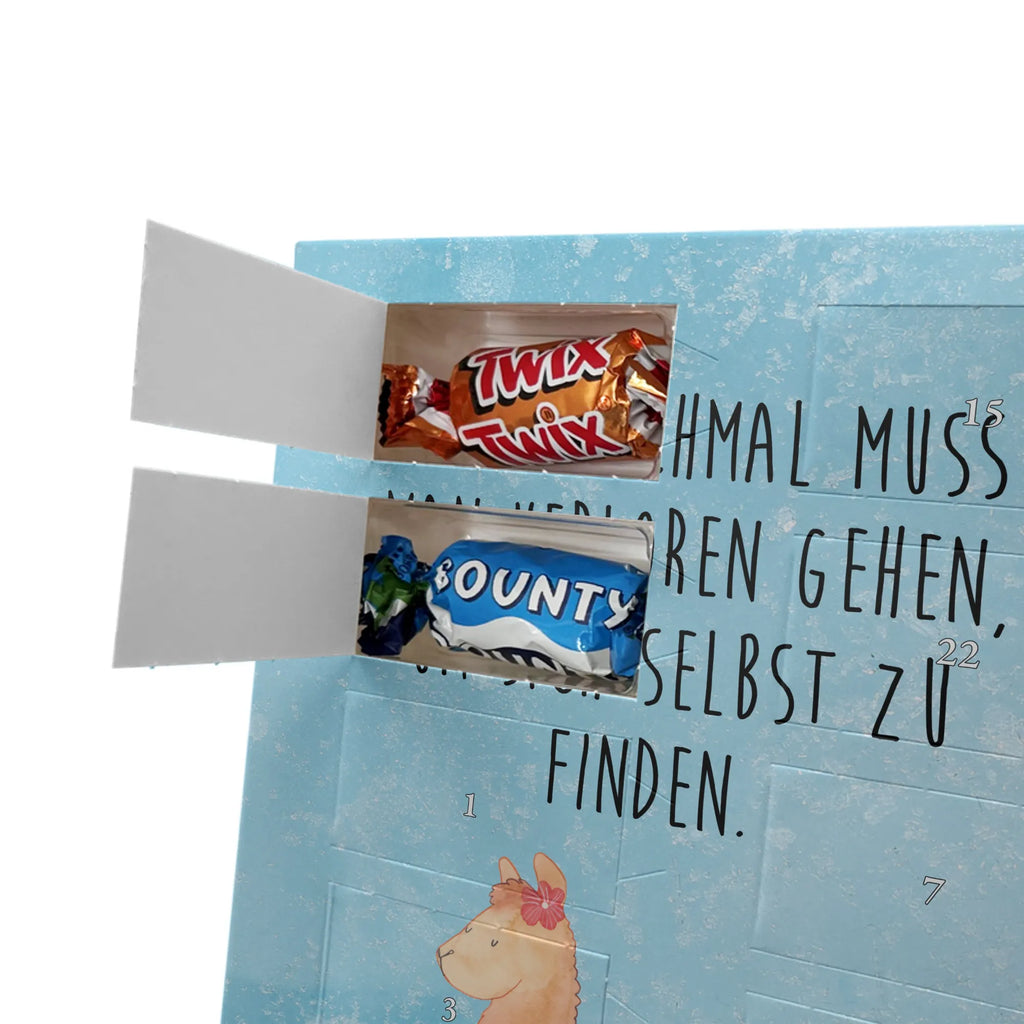  alpaca Proud alpaca, llama, pako, camel, Peru, animal, favourite animal