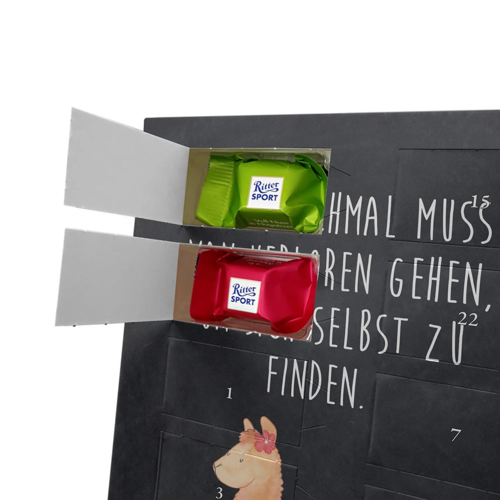  alpaca Proud alpaca, llama, pako, camel, Peru, animal, favourite animal