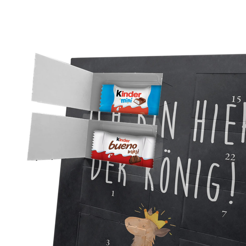  lama king Llama, alpaca, trendy animal, mum, colleague, girlfriend, office colleague, high school graduation, king, supervisor