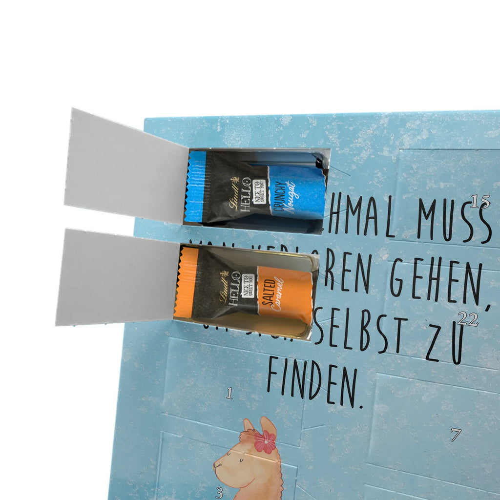  alpaca Proud alpaca, llama, pako, camel, Peru, animal, favourite animal