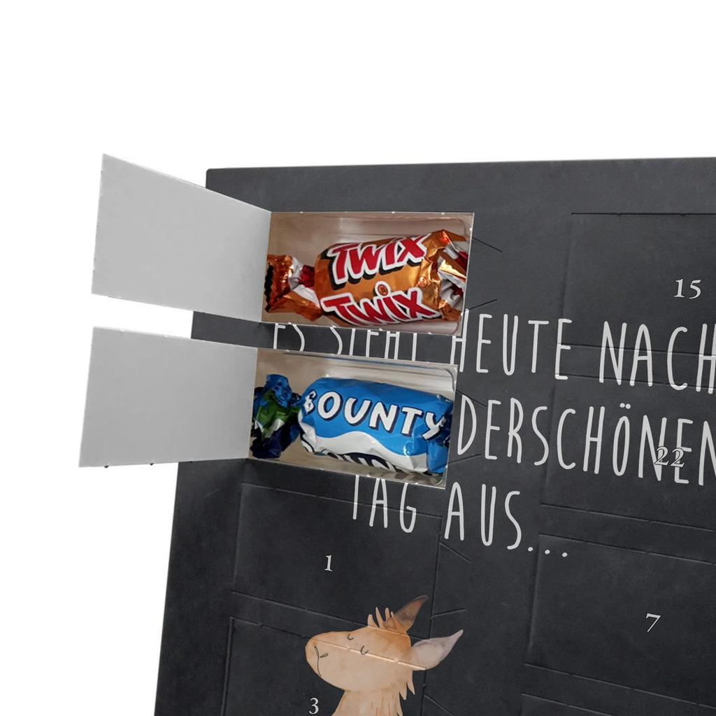  lama Jump Llama, llama, alpaca, trendy animal, new start, happy, happy day, Lama, heartache, girlfriend, luck, start, favourite day, graduation, good morning, exam, llamas