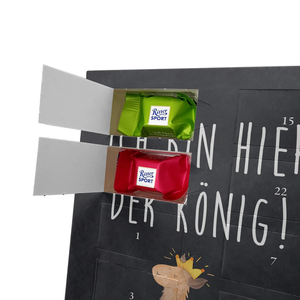  lama king Llama, alpaca, trendy animal, mum, colleague, girlfriend, office colleague, high school graduation, king, supervisor