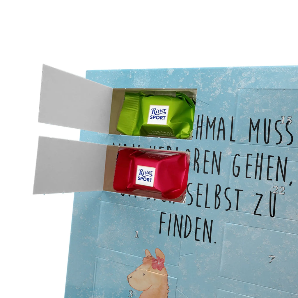  alpaca Proud alpaca, llama, pako, camel, Peru, animal, favourite animal