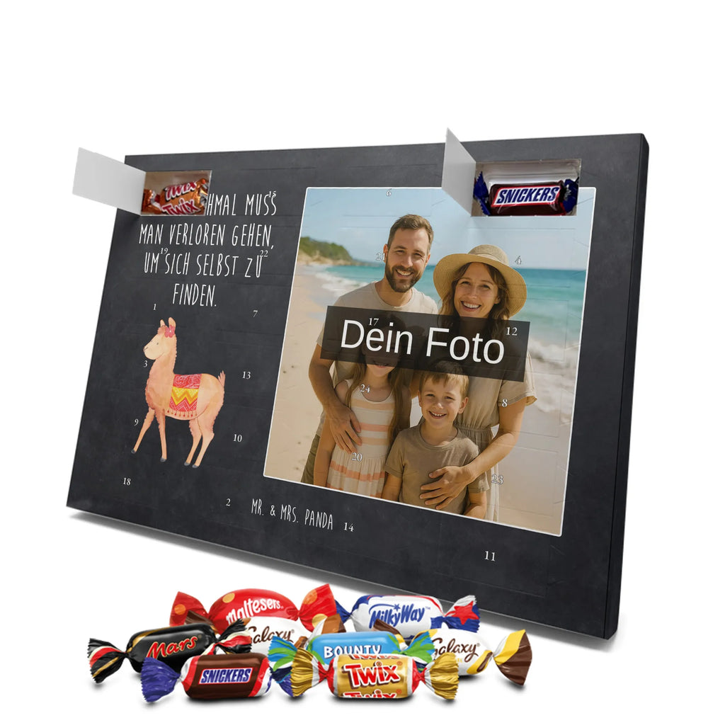  alpaca Proud alpaca, llama, pako, camel, Peru, animal, favourite animal