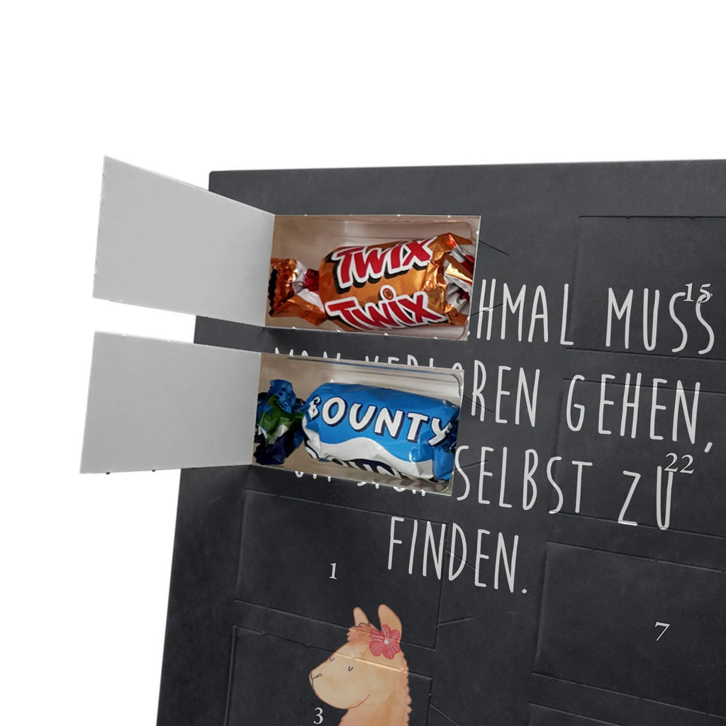  alpaca Proud alpaca, llama, pako, camel, Peru, animal, favourite animal