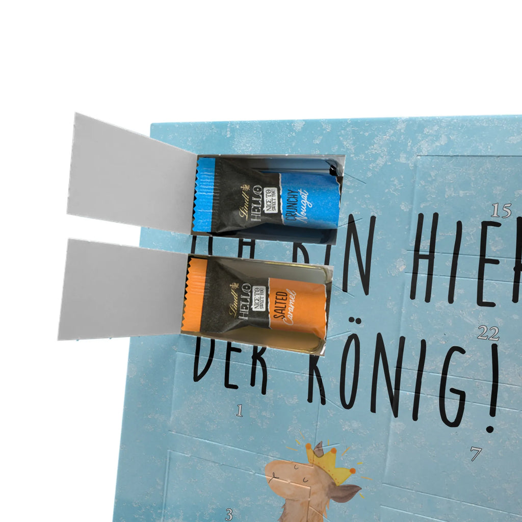  lama king Llama, alpaca, trendy animal, mum, colleague, girlfriend, office colleague, high school graduation, king, supervisor