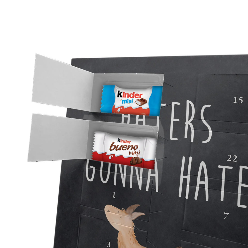  lama rainbow Llama, llama, alpaca, trendy animal, Outsider, School, Lamas, Freedom, Self-employed, Abi, Hobby, Rainbow, Haters, Cloud country, Haters gonna hate, Lama