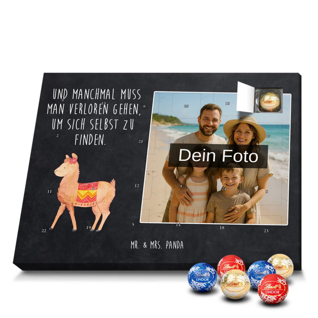  alpaca Proud alpaca, llama, pako, camel, Peru, animal, favourite animal