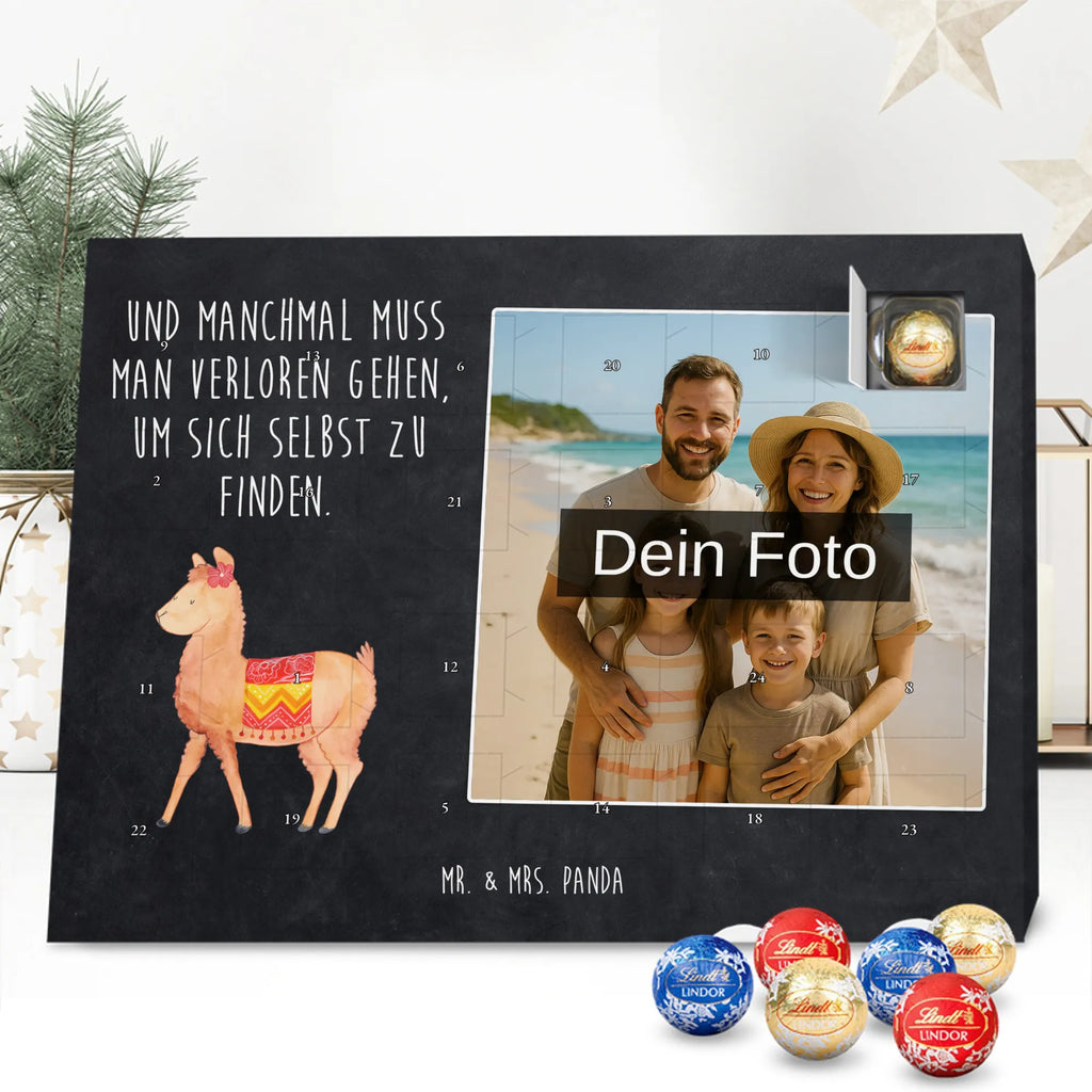  alpaca Proud alpaca, llama, pako, camel, Peru, animal, favourite animal