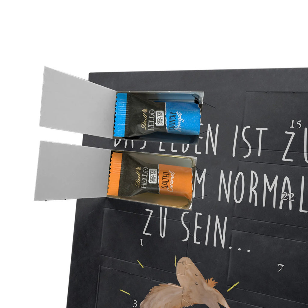 Personalisierter Schoko Foto Adventskalender Lama Stolz Personalisierter Schoko Foto Adventskalender, Lama, Alpaka, Family, Familie, Kumpel, Anders, Freundinnen, Freundin, Stolz, Lamas, Neustart, Außenseiter, Beste Freundin, Hippie