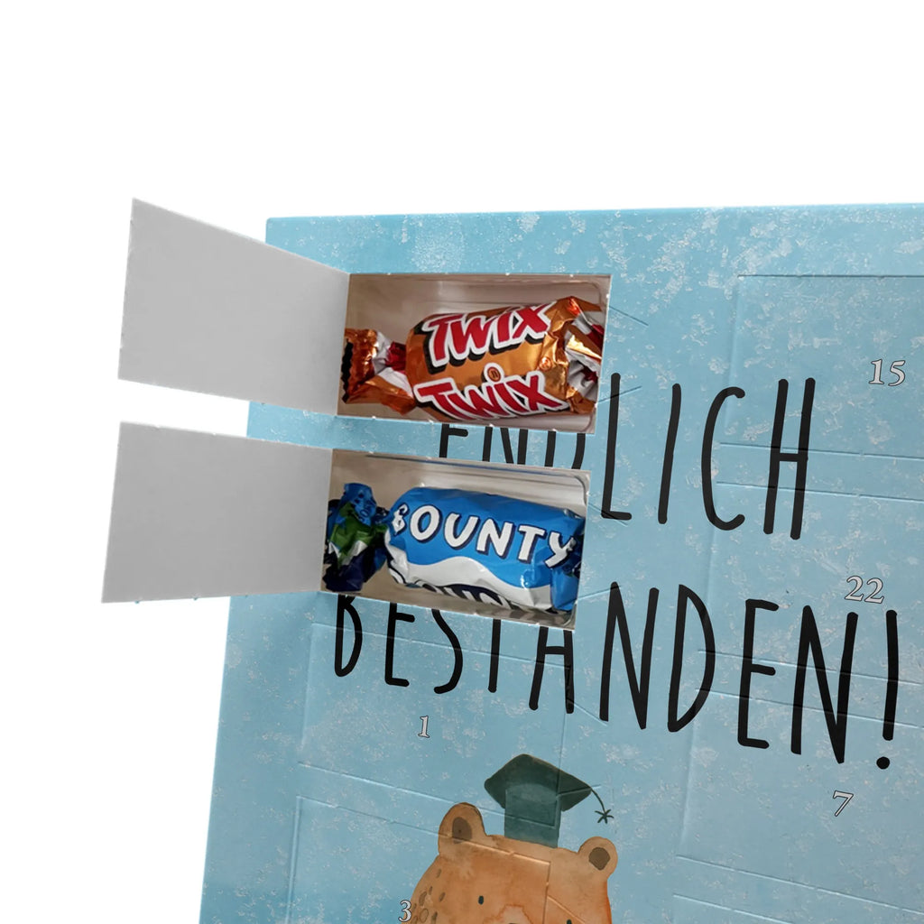  bear Test bear, teddy, teddy bear, cuddly toy, certificate, diploma, examinations, examination passed, degree, Abitur