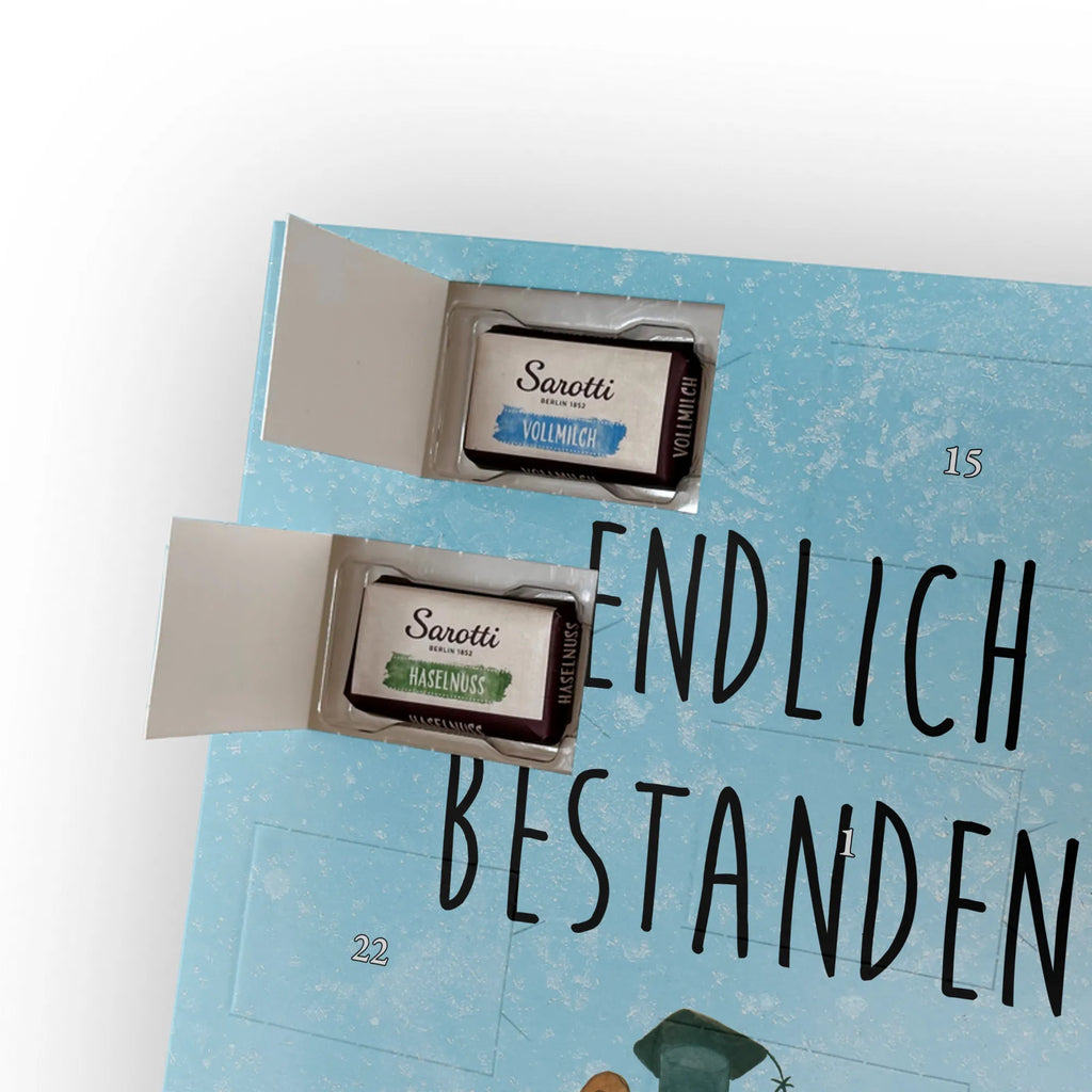  bear Test bear, teddy, teddy bear, cuddly toy, certificate, diploma, examinations, examination passed, degree, Abitur