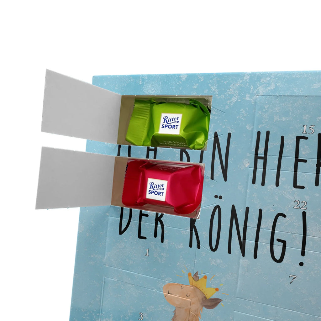  lama king Llama, alpaca, trendy animal, mum, colleague, girlfriend, office colleague, high school graduation, king, supervisor