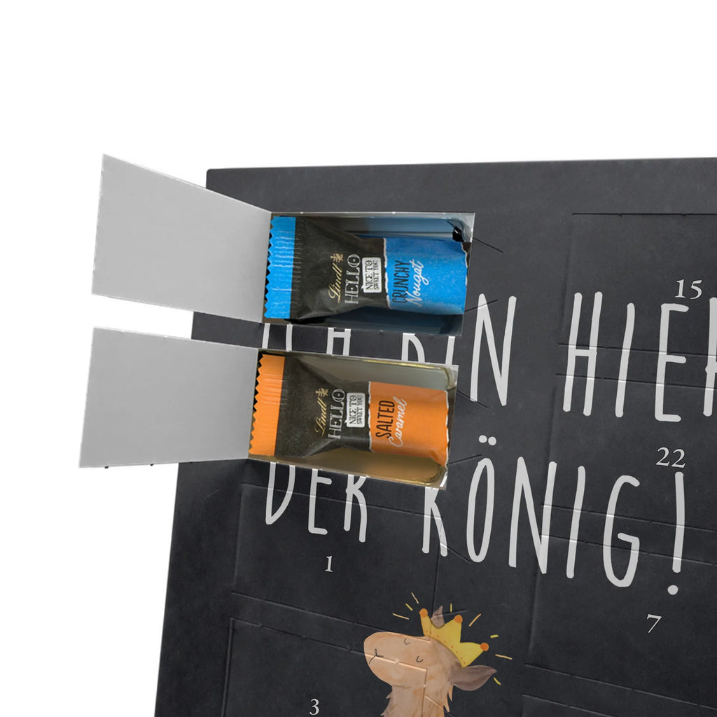  lama king Llama, alpaca, trendy animal, mum, colleague, girlfriend, office colleague, high school graduation, king, supervisor