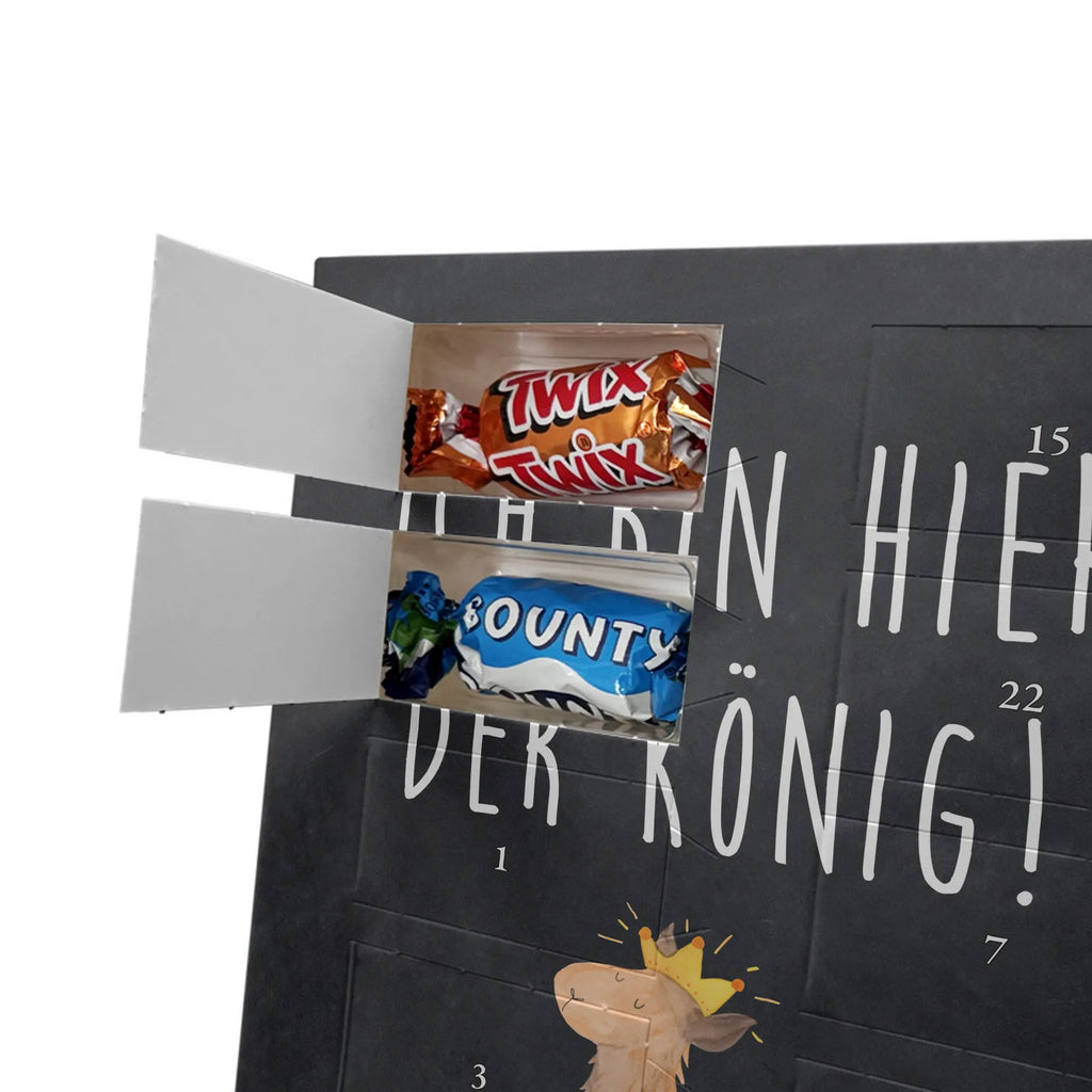  lama king Llama, alpaca, trendy animal, mum, colleague, girlfriend, office colleague, high school graduation, king, supervisor