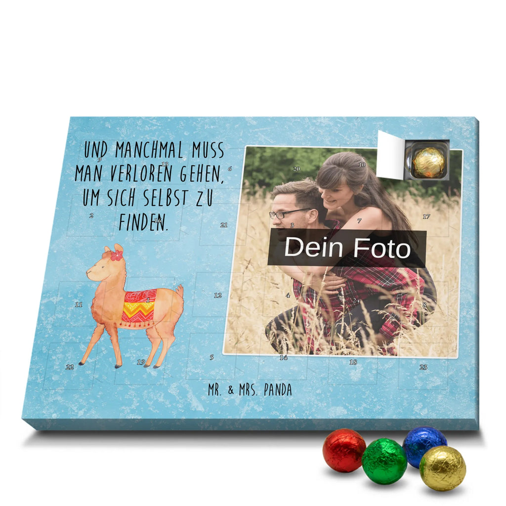  alpaca Proud alpaca, llama, pako, camel, Peru, animal, favourite animal