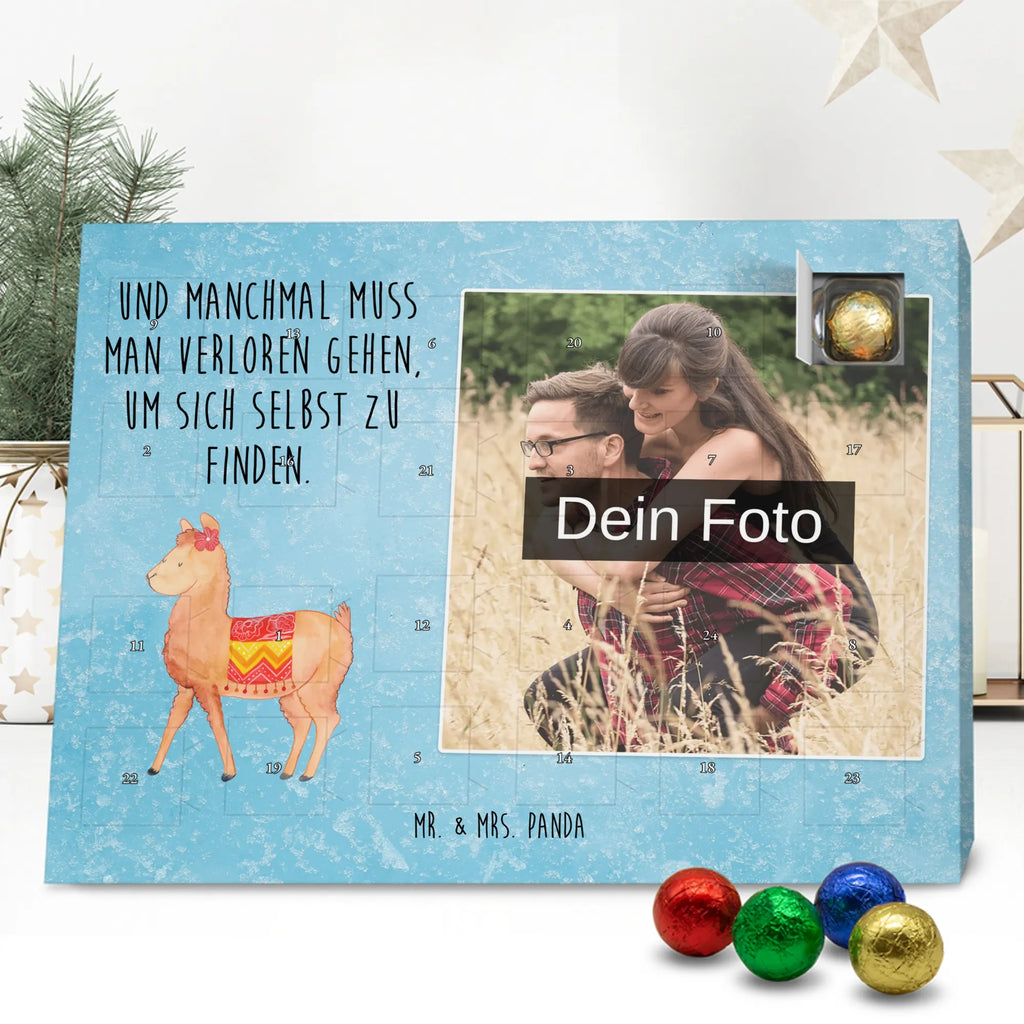  alpaca Proud alpaca, llama, pako, camel, Peru, animal, favourite animal