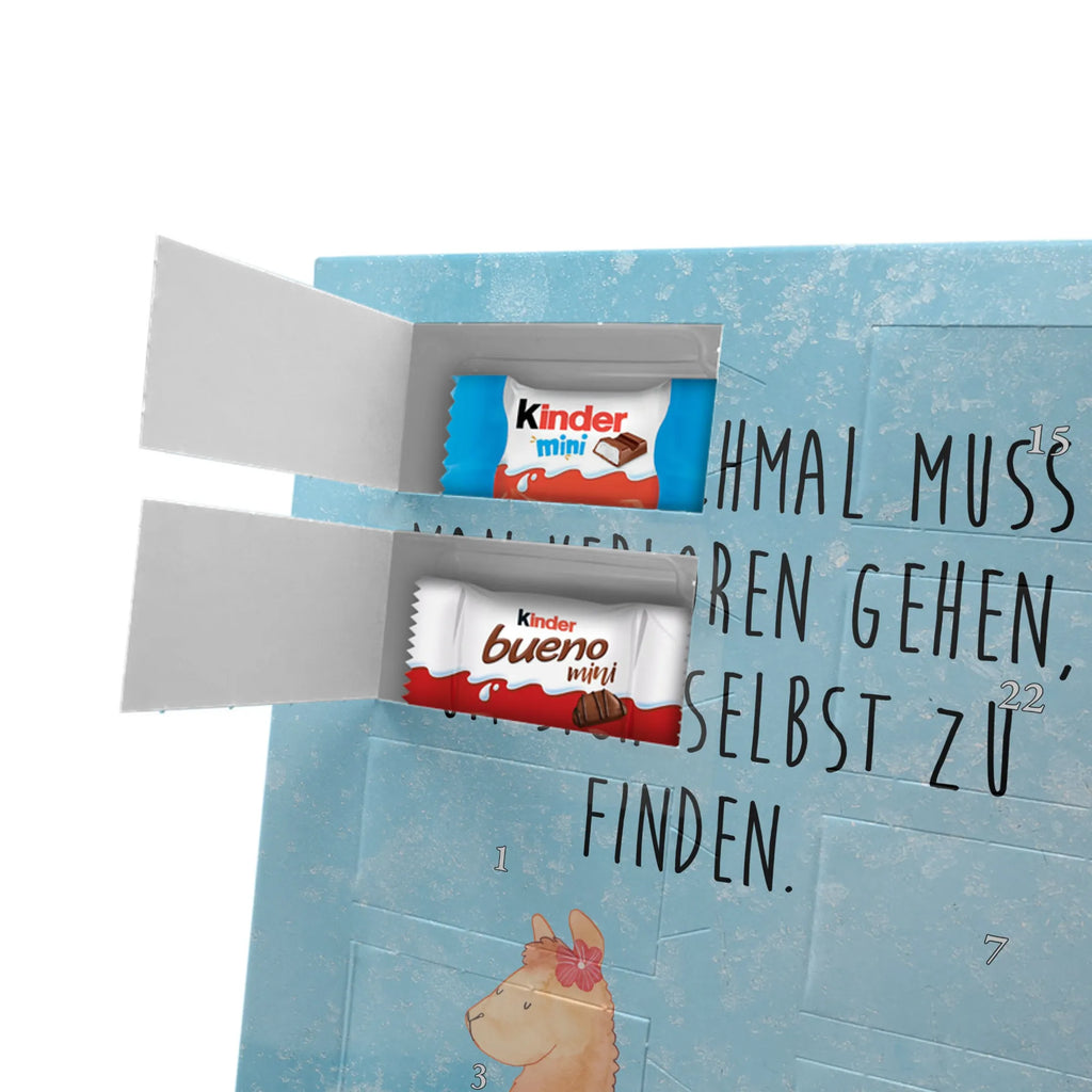  alpaca Proud alpaca, llama, pako, camel, Peru, animal, favourite animal