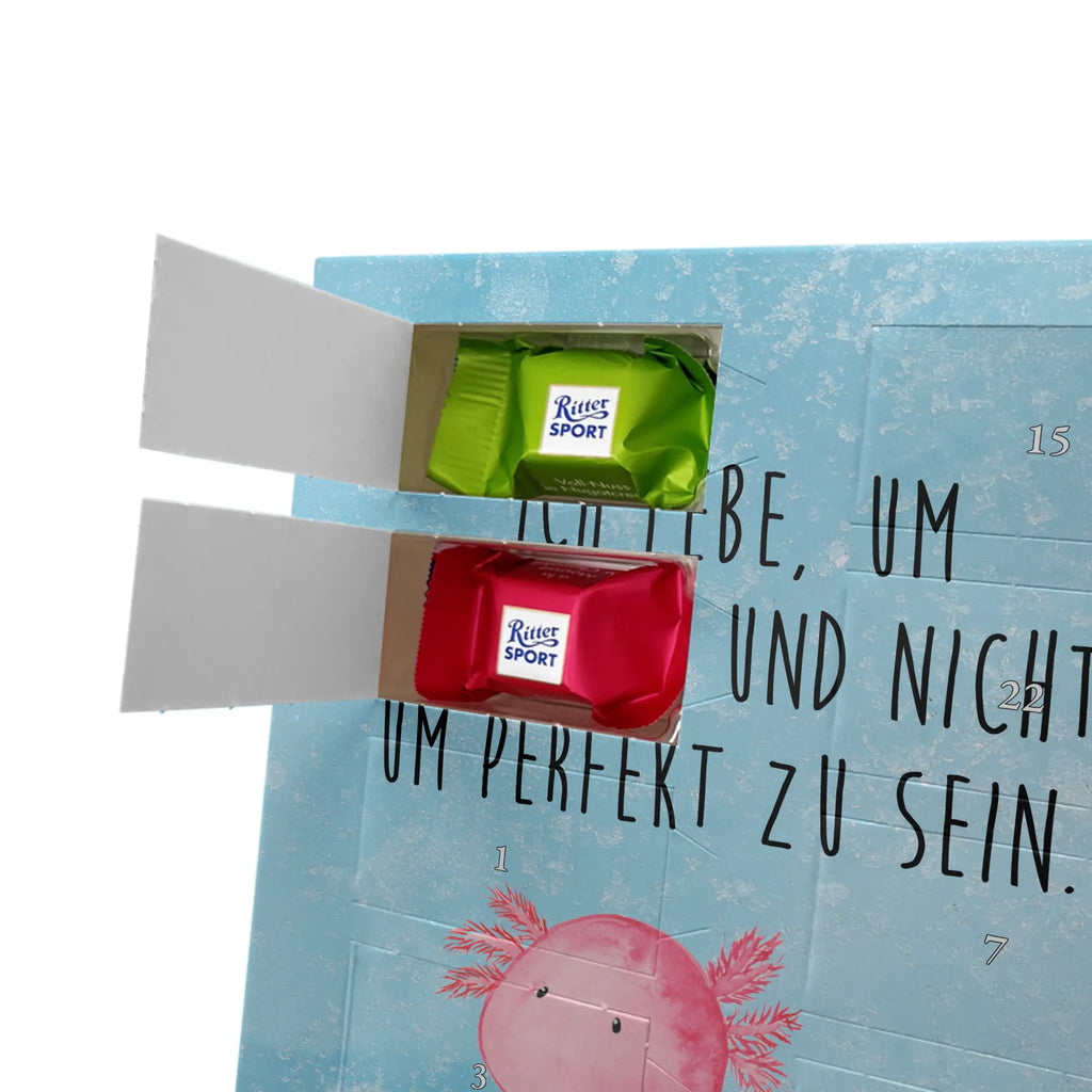  axolotl zero Axolotl, Axelotl, marine animals, Mexican walking fish, salamander, contented, girlfriend, love, wisdom, Axolot, happy, cheerful, worldly wisdom, lifestyle