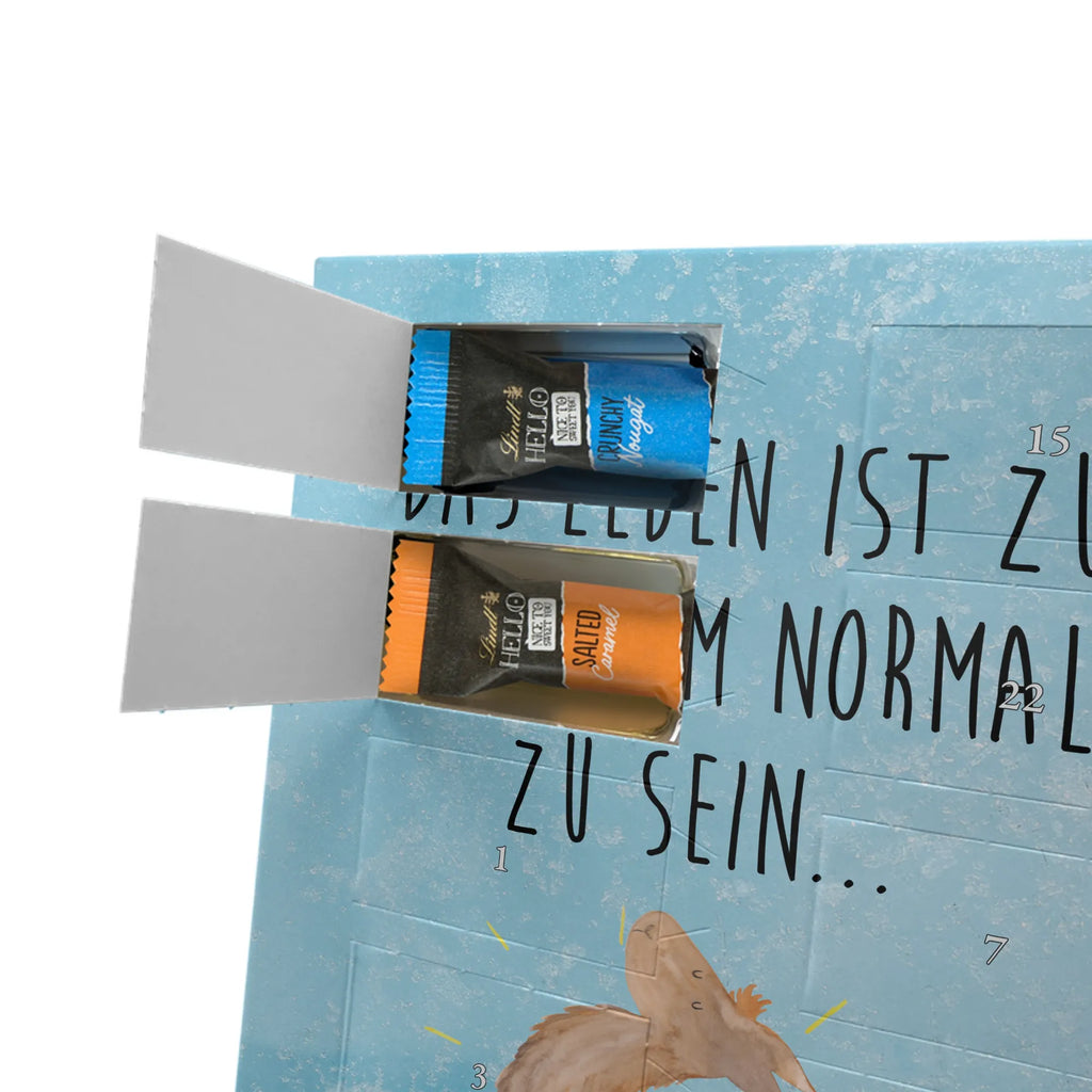 Personalisierter Schoko Foto Adventskalender Lama Stolz Personalisierter Schoko Foto Adventskalender, Lama, Alpaka, Family, Familie, Kumpel, Anders, Freundinnen, Freundin, Stolz, Lamas, Neustart, Außenseiter, Beste Freundin, Hippie