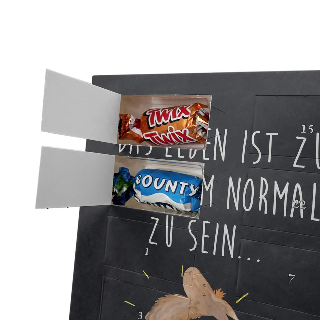 Personalisierter Schoko Foto Adventskalender Lama Stolz Personalisierter Schoko Foto Adventskalender, Lama, Alpaka, Family, Familie, Kumpel, Anders, Freundinnen, Freundin, Stolz, Lamas, Neustart, Außenseiter, Beste Freundin, Hippie