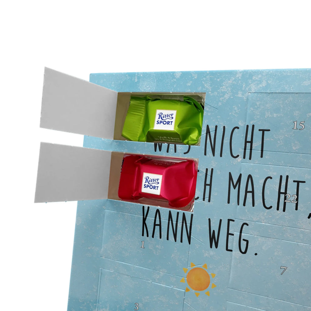  cactus Sun cactus, cactuses, plants, cactus plant, small green cactus, sunshine, divorce, separation, adultery, sun, lovesickness, lovesickness gift, girlfriend, new start, gift idea, happiness, motivation, happy, love cactus love