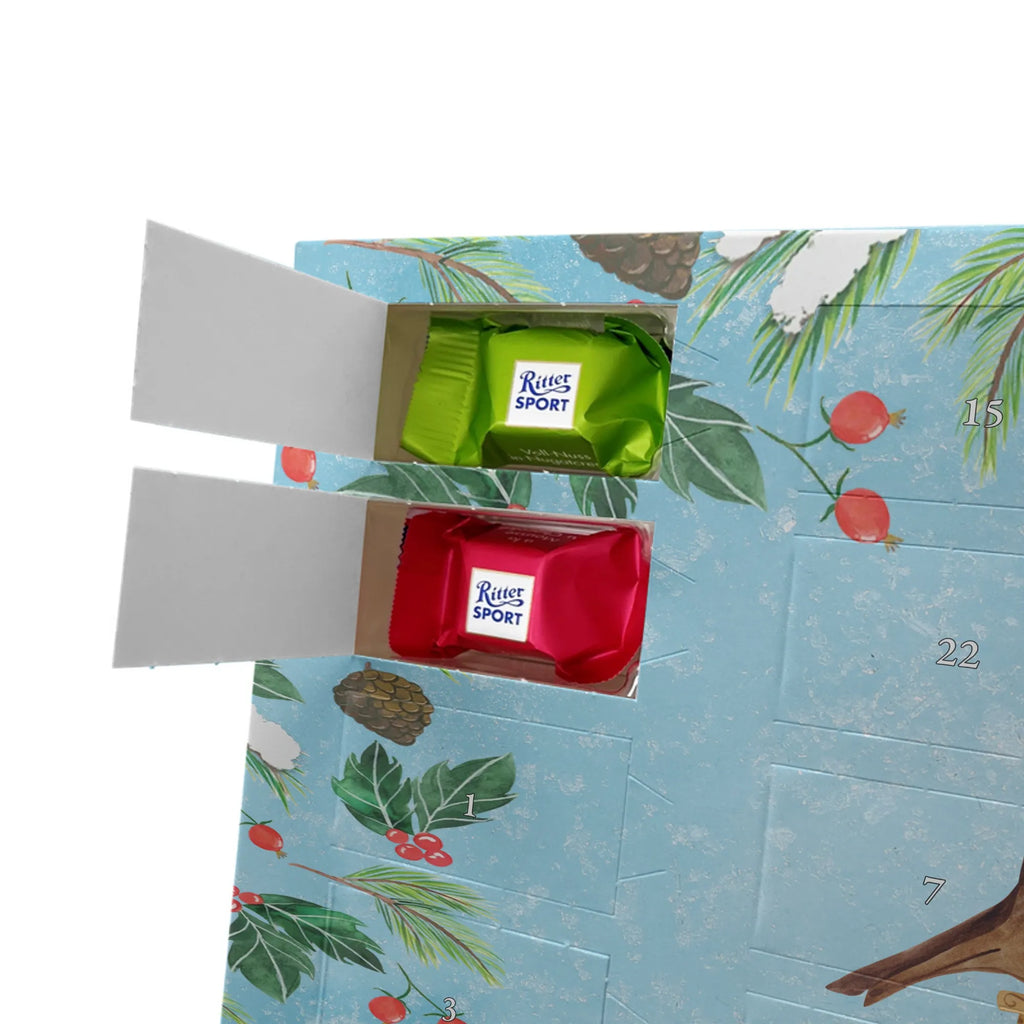  robin Sleds snow, Christmas time, bird, sleigh