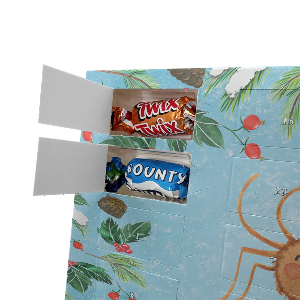 Adventskalender mit Namen Spinne Agathe Motivation Adventskalender mit Namen, Personalisierter Adventskalender, Videos, Spinne, Merchandise, Spinne Agathe, Agathe, Motivation, Dankeschön, Vertrauen, Liebe, Glück